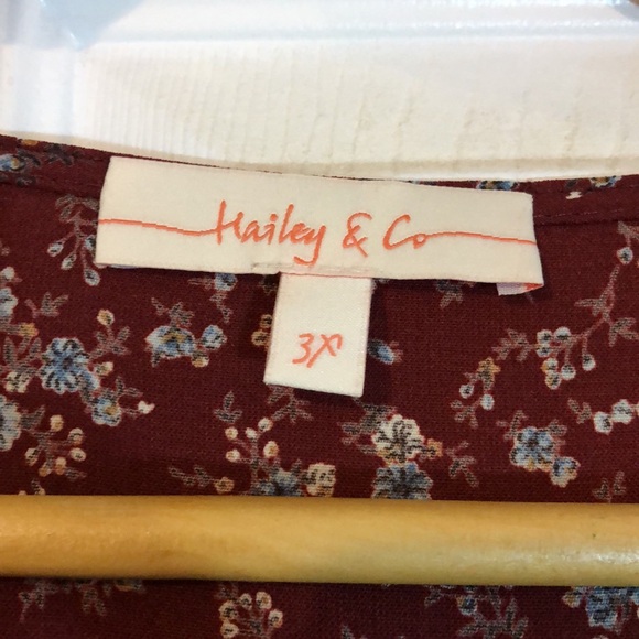 Hailey & Co - Picture 2 of 4